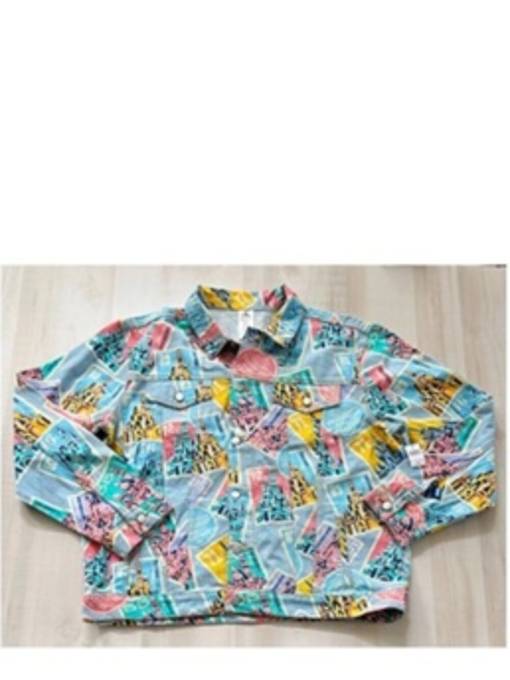 Nwt 2022 Disney Parks D23 Castles Of Disney Collection Denim Jacket XL XXL